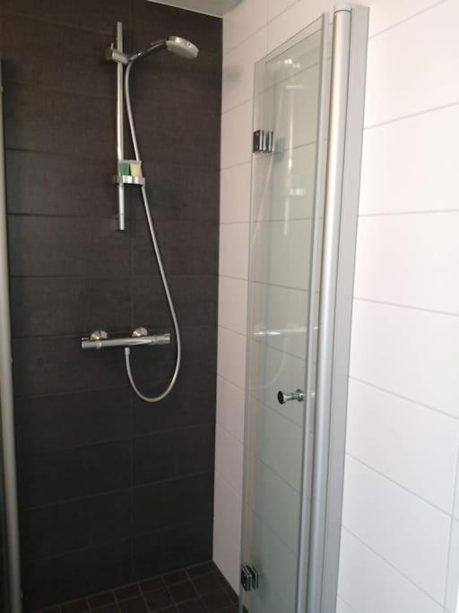 Apartment Tyylikaes Helsingin Sydaemessae Helsinki